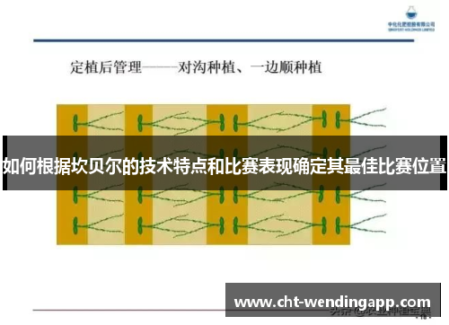 如何根据坎贝尔的技术特点和比赛表现确定其最佳比赛位置