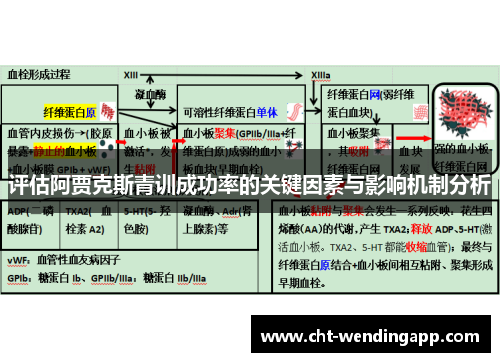 评估阿贾克斯青训成功率的关键因素与影响机制分析